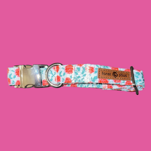 Lionet Paws Floral Dog Collar 10-16”